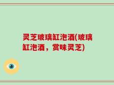 灵芝玻璃缸泡酒(玻璃缸泡酒，赏味灵芝)