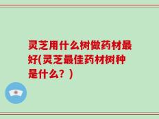 灵芝用什么树做药材最好(灵芝最佳药材树种是什么？)