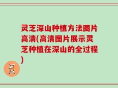 灵芝深山种植方法图片高清(高清图片展示灵芝种植在深山的全过程)