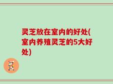 灵芝放在室内的好处(室内养殖灵芝的5大好处)