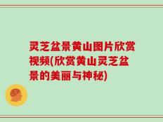 灵芝盆景黄山图片欣赏视频(欣赏黄山灵芝盆景的美丽与神秘)