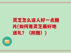 灵芝怎么送人好一点图片(如何用灵芝最好地送礼？（附图）)