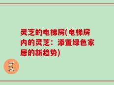 灵芝的电梯房(电梯房内的灵芝：添置绿色家居的新趋势)