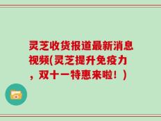 灵芝收货报道最新消息视频(灵芝提升免疫力，双十一特惠来啦！)