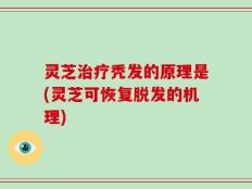 灵芝治疗秃发的原理是(灵芝可恢复脱发的机理)