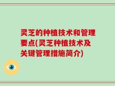 灵芝的种植技术和管理要点(灵芝种植技术及关键管理措施简介)