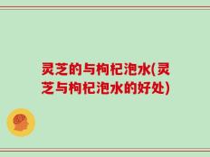 灵芝的与枸杞泡水(灵芝与枸杞泡水的好处)