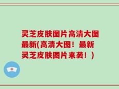 灵芝皮肤图片高清大图最新(高清大图！最新灵芝皮肤图片来袭！)