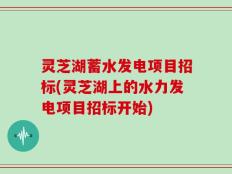 灵芝湖蓄水发电项目招标(灵芝湖上的水力发电项目招标开始)
