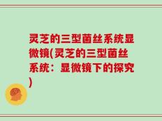 灵芝的三型菌丝系统显微镜(灵芝的三型菌丝系统：显微镜下的探究)
