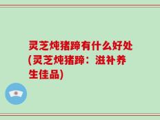 灵芝炖猪蹄有什么好处(灵芝炖猪蹄：滋补养生佳品)