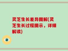 灵芝生长差异图解(灵芝生长过程图示，详细解读)