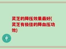 灵芝的降压效果最好(灵芝有极佳的降血压功效)