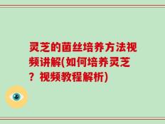 灵芝的菌丝培养方法视频讲解(如何培养灵芝？视频教程解析)