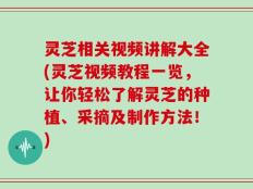 灵芝相关视频讲解大全(灵芝视频教程一览，让你轻松了解灵芝的种植、采摘及制作方法！)