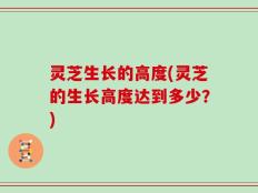 灵芝生长的高度(灵芝的生长高度达到多少？)