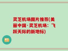 灵芝机场图片推荐(美丽中国·灵芝机场：飞跃天际的新地标)
