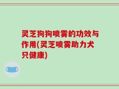 灵芝狗狗喷雾的功效与作用(灵芝喷雾助力犬只健康)