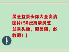 灵芝盆景头像大全高清图片(50张高清灵芝盆景头像，超美感，必收藏！)