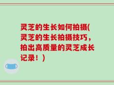 灵芝的生长如何拍摄(灵芝的生长拍摄技巧，拍出高质量的灵芝成长记录！)
