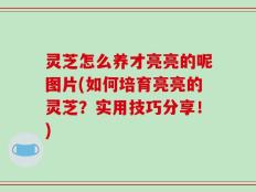 灵芝怎么养才亮亮的呢图片(如何培育亮亮的灵芝？实用技巧分享！)