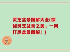 灵芝盆景图解大全(探秘灵芝盆景之美，一网打尽盆景图解！)