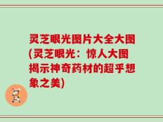 灵芝眼光图片大全大图(灵芝眼光：惊人大图揭示神奇药材的超乎想象之美)