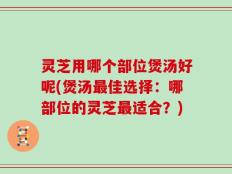 灵芝用哪个部位煲汤好呢(煲汤最佳选择：哪部位的灵芝最适合？)