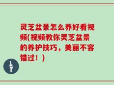 灵芝盆景怎么养好看视频(视频教你灵芝盆景的养护技巧，美丽不容错过！)