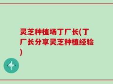 灵芝种植场丁厂长(丁厂长分享灵芝种植经验)