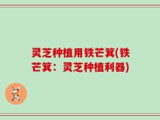 灵芝种植用铁芒箕(铁芒箕：灵芝种植利器)