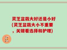 灵芝盆栽大好还是小好(灵芝盆栽大小不重要，关键看选择和护理)