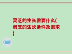灵芝的生长需要什么(灵芝的生长条件及需求)