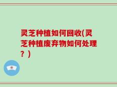 灵芝种植如何回收(灵芝种植废弃物如何处理？)