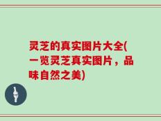 灵芝的真实图片大全(一览灵芝真实图片，品味自然之美)