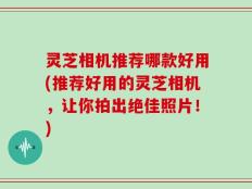 灵芝相机推荐哪款好用(推荐好用的灵芝相机，让你拍出绝佳照片！)