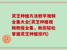 灵芝种植方法教学视频全集大全(灵芝种植视频教程全集，助你轻松掌握灵芝种植技巧)