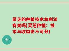 灵芝的种植技术和利润有关吗(灵芝种植：技术与收益密不可分)