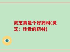 灵芝真是个好药材(灵芝：珍贵的药材)
