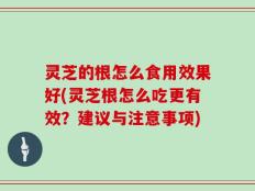 灵芝的根怎么食用效果好(灵芝根怎么吃更有效？建议与注意事项)