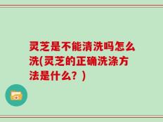 灵芝是不能清洗吗怎么洗(灵芝的正确洗涤方法是什么？)