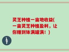 灵芝种植一亩地收益(一亩灵芝种植盈利，让你赚到钵满罐满！)