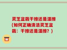 灵芝盆栽干擦还是湿擦(如何正确清洁灵芝盆栽：干擦还是湿擦？)