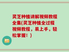 灵芝种植讲解视频教程全集(灵芝种植全过程视频教程，易上手，轻松掌握！)