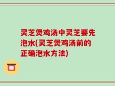 灵芝煲鸡汤中灵芝要先泡水(灵芝煲鸡汤前的正确泡水方法)