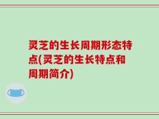 灵芝的生长周期形态特点(灵芝的生长特点和周期简介)