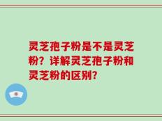 灵芝孢子粉是不是灵芝粉？详解灵芝孢子粉和灵芝粉的区别？