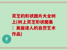 灵芝的形状图片大全树上(树上灵芝形状图集：美丽迷人的自然艺术作品)