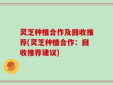 灵芝种植合作及回收推荐(灵芝种植合作：回收推荐建议)