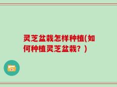 灵芝盆栽怎样种植(如何种植灵芝盆栽？)